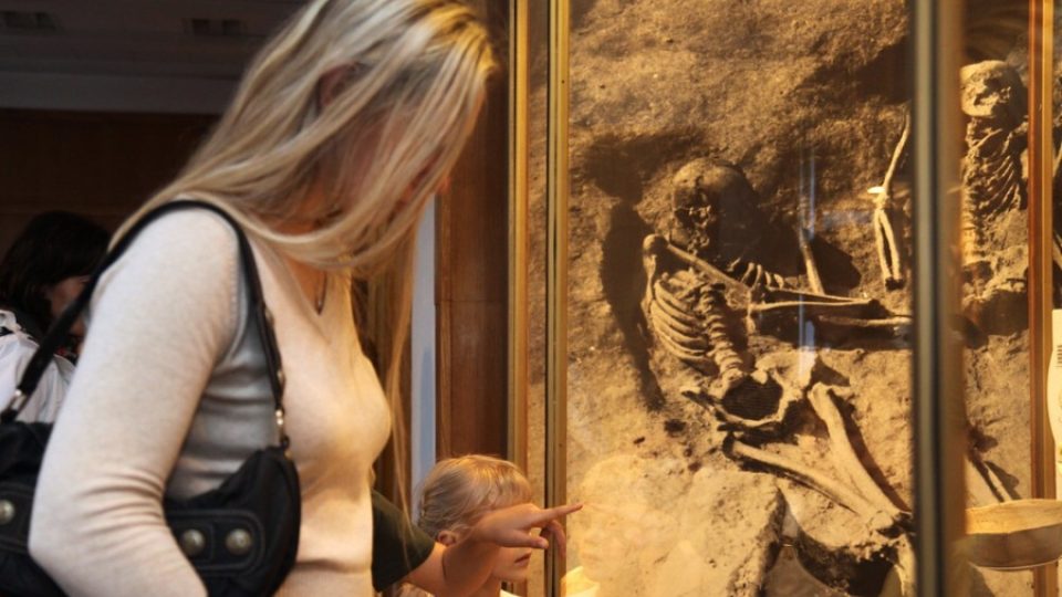 Návštěvníci Moravského zemského muzea si v Dietrichsteinském paláci mohou prohlédnout expozici představující nejstarší dějiny Moravy