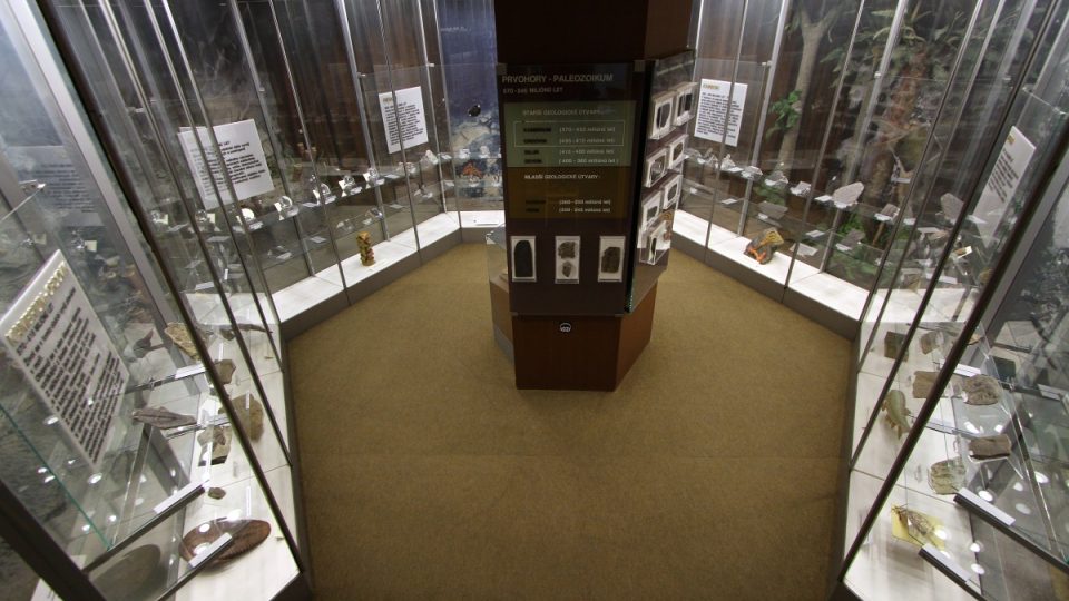 Paleontologická expozice Moravského zemského muzea v Dietrichsteinském paláci v Brně