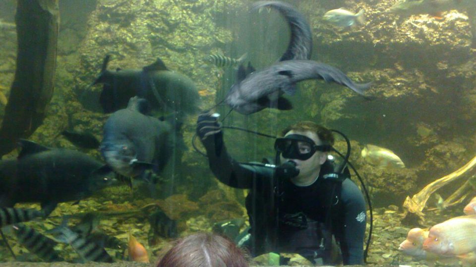 ČRo HK vysílal z Obřího akvária v Hradci Králové