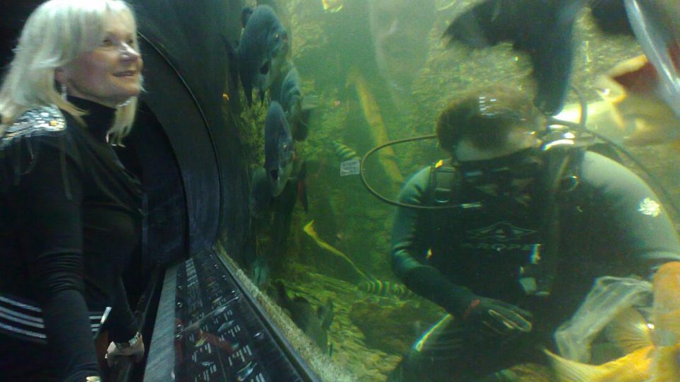 ČRo HK vysílal z Obřího akvária v Hradci Králové