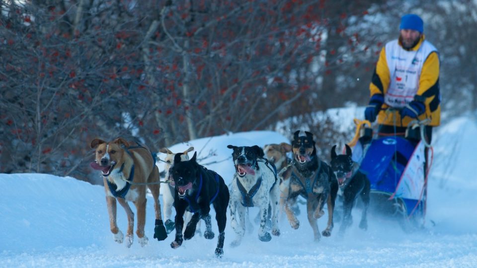 Radek Havrda a jeho psí spřežení 02276873.jpeg