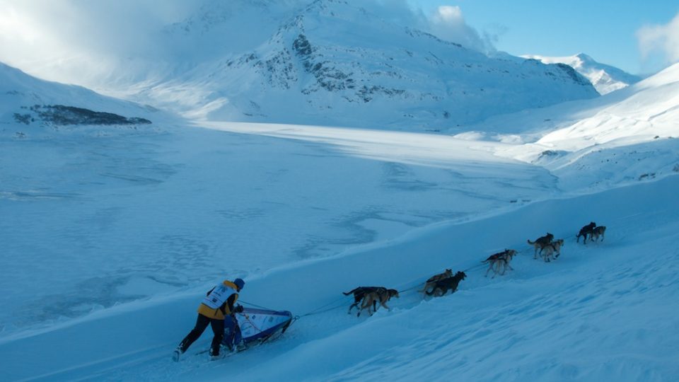 Radek Havrda a jeho psí spřežení 02276874.jpeg