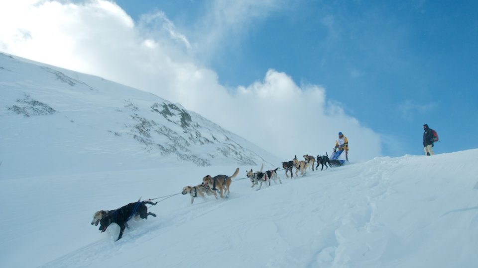 Radek Havrda a jeho psí spřeženíRadek Havrda a jeho psí spřežení 02276875.jpeg