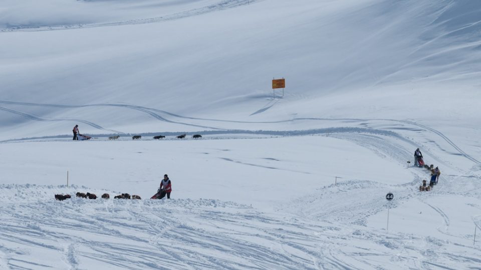 Radek Havrda a jeho psí spřežení 02276876.jpeg