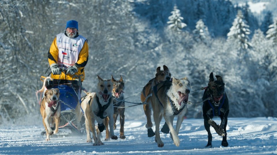 Radek Havrda a jeho psí spřežení | foto: Archiv Radka Havrdy 02276878.jpeg