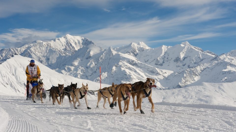 Radek Havrda a jeho psí spřežení 02276880.jpeg