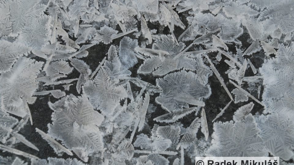 Ledové „skořápky“ se sublimací i přirůstáním mění v obří sněhové vločky či spíš v miniatury javorových listů