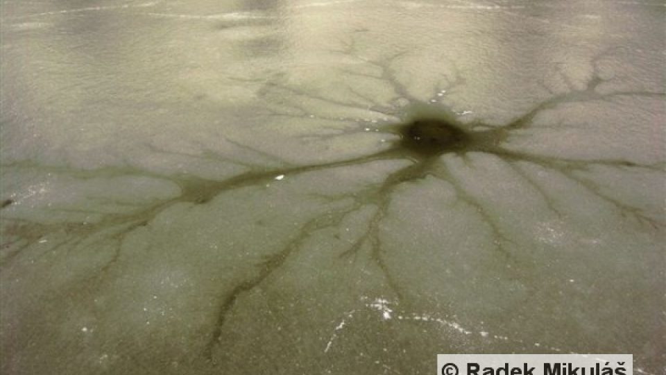 Velká „temná hvězda“ - výsledek nedávné oblevy, kdy byla voda z tajícího ledu vtahována do díry (Praha-Libeň)