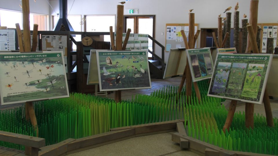 Expozice ekologického muzea v Národním parku Kuširo Šicugen se snaží navodit dojem brouzdání v mokřadech, kde jeřábi žijí