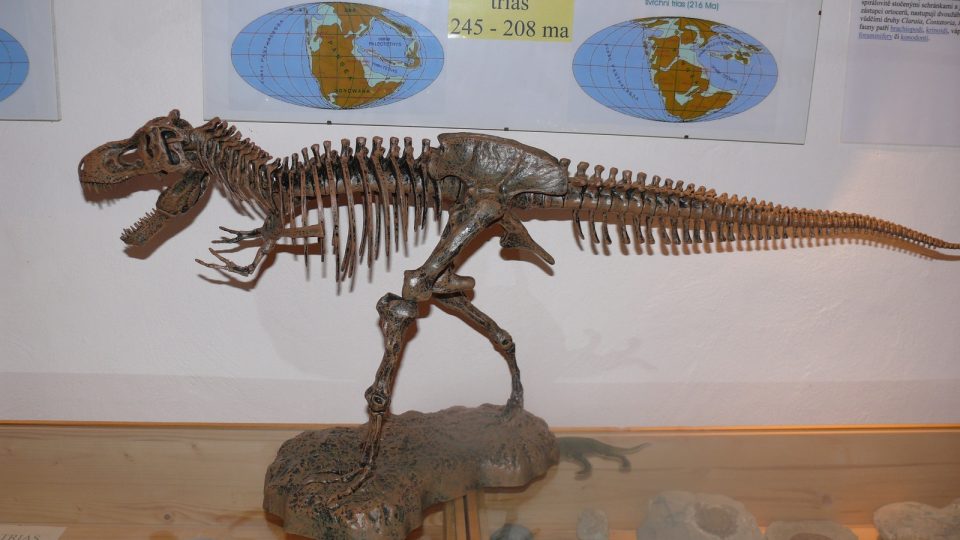 Kostra dinosaura, muzeum fosílií