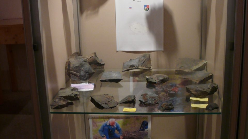 Muzeum fosílií I
