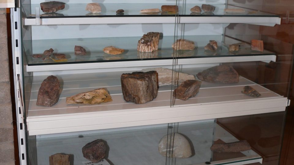 Muzeum fosílií III