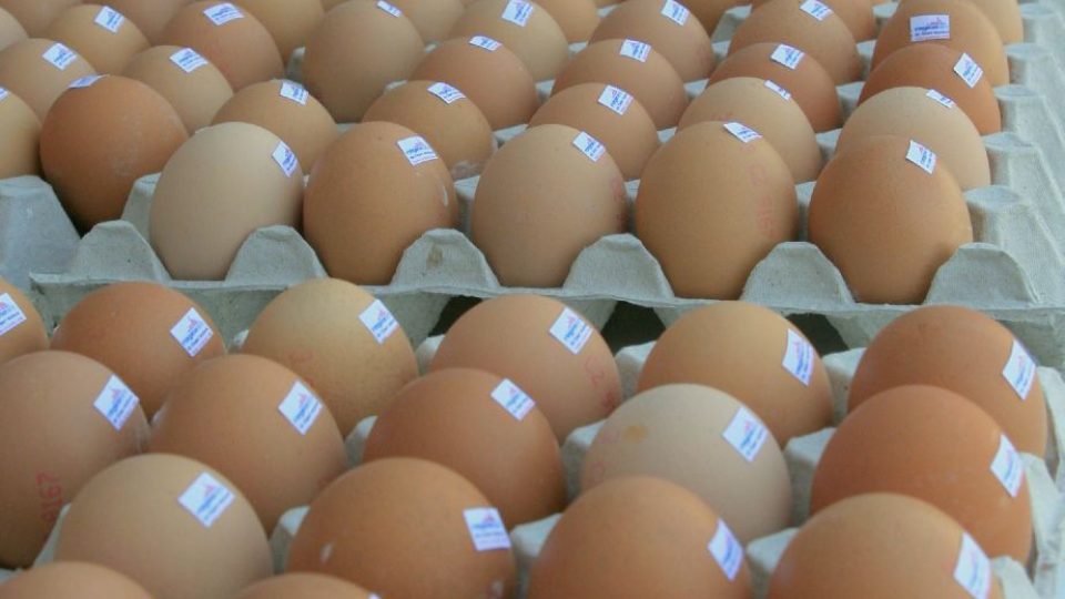 Mezi tisíci vajíčky se skrývalo sto výherních
