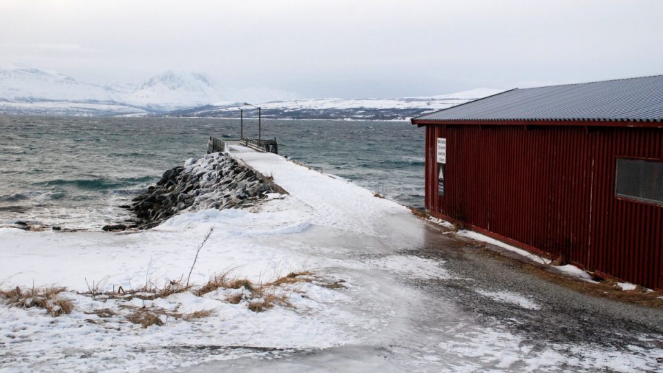 V okolí severonorského Tromso se lovili tuleni celá staletí