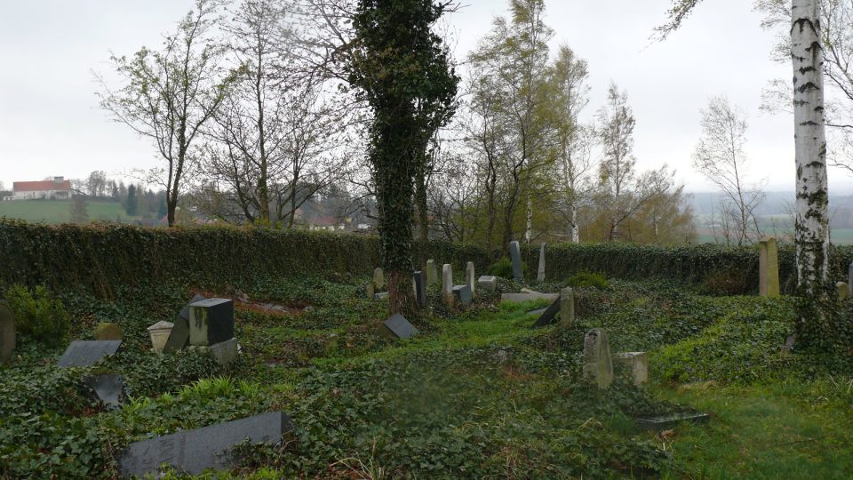 Židovský hřbitov Radenín III