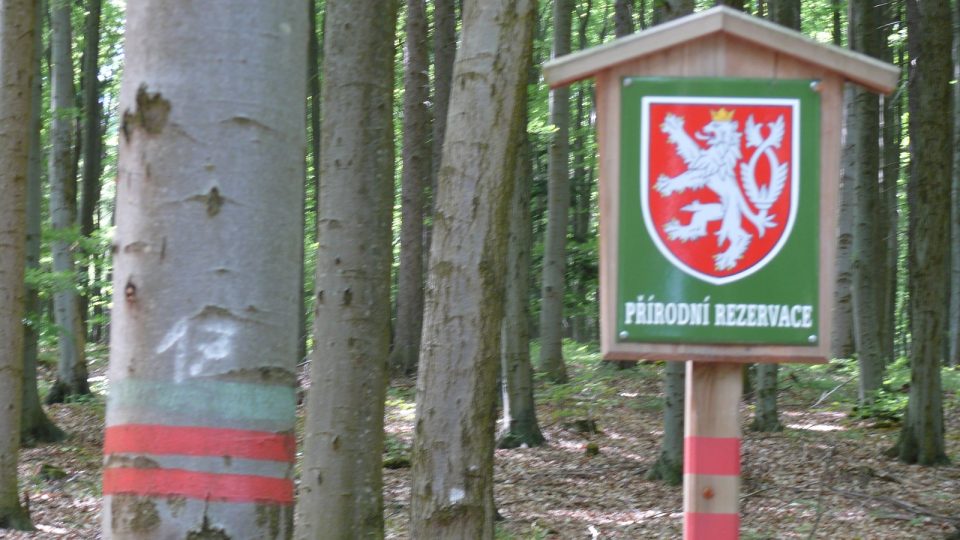 Oblast, v níž se nachází Vysoký Kamýk, je přírodní rzervací