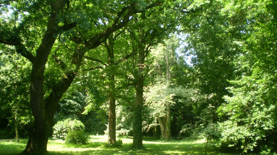 Arboretum u maďarského lázeňského města Szeleste v mnohém připomíná rajskou zahradu