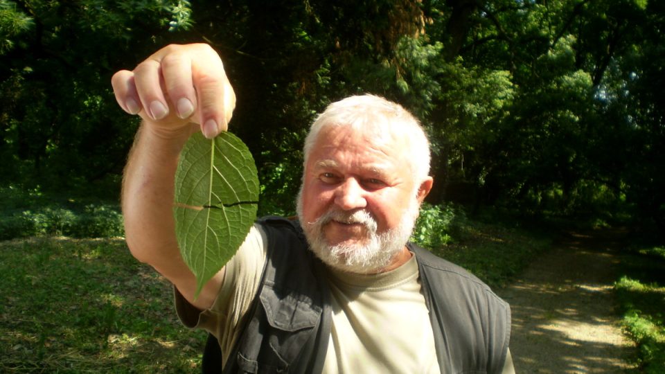 István Bánó je správcem arboreta už dlouhou řadu let