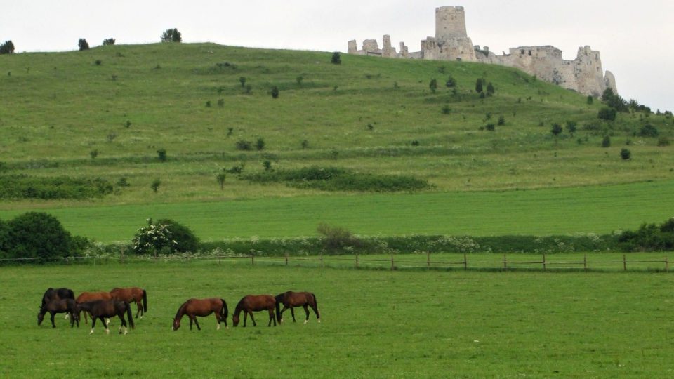 Spišský hrad