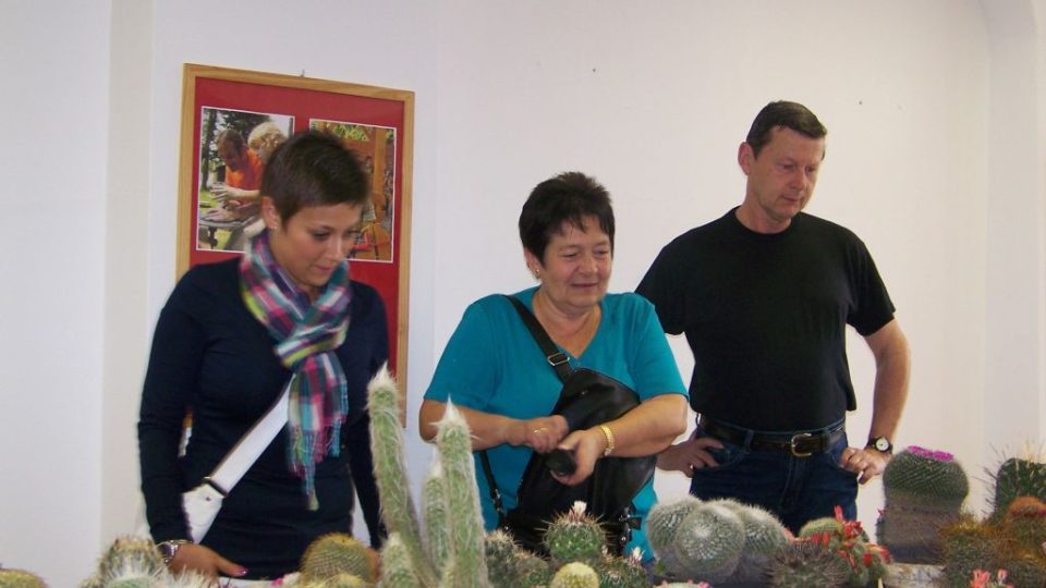 František Pícha z Vlašimi a jeho výstava kaktusů (6)