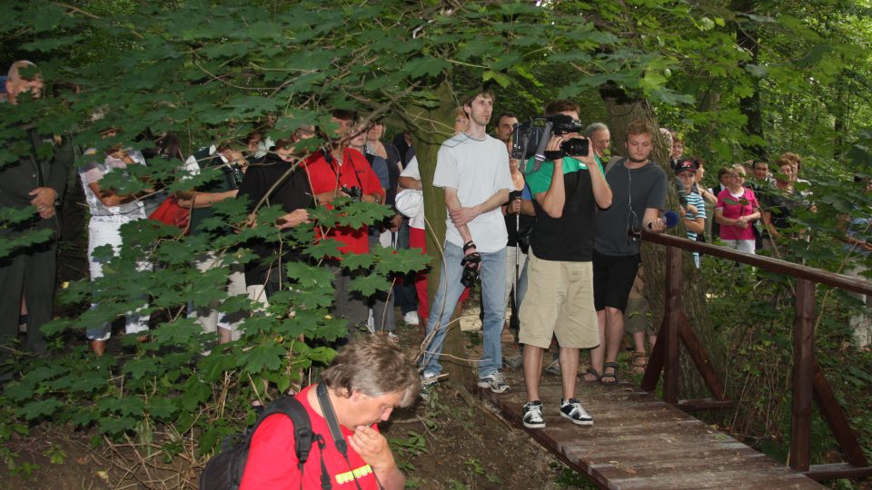 Diváci na pasování javoru v Letohradské bažantnici