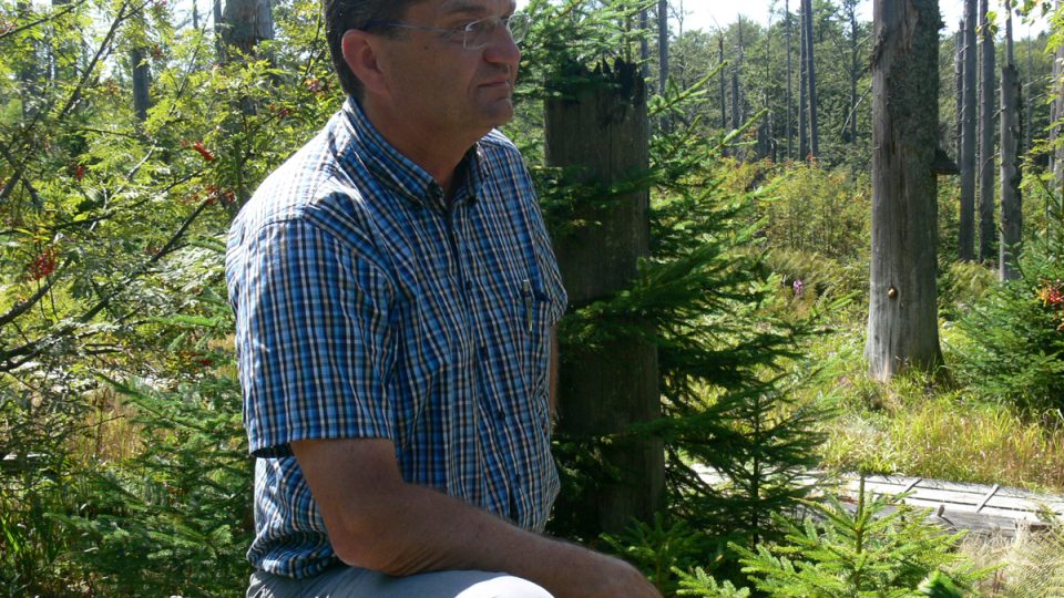 Les potřebuje čas, říká šéf bavorského národního parku Franz Leibl 