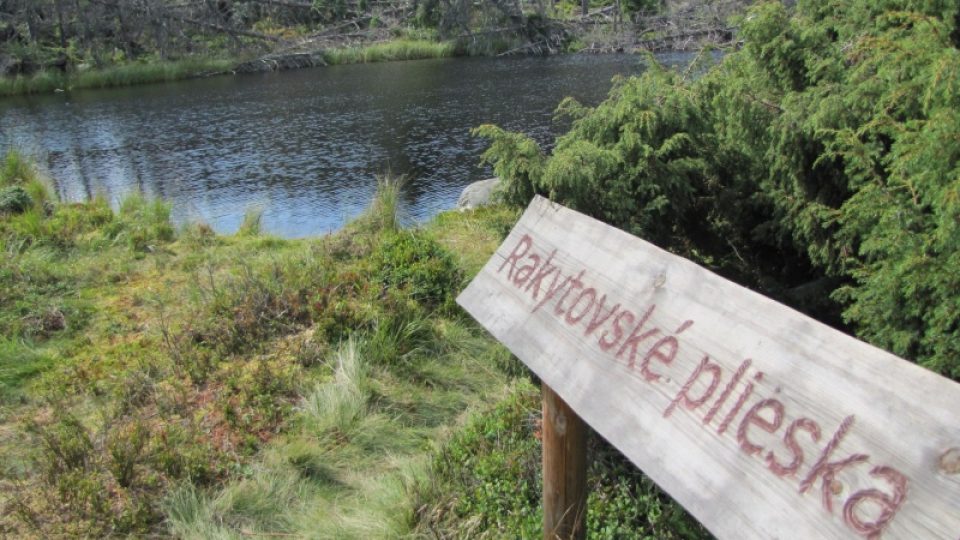 Turisté míří do Tater navzdory kůrovcové kalamitě