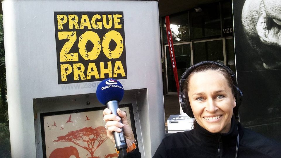 Pražská zoo oslavovala 80. narozeniny a Radiožurnál byl u toho