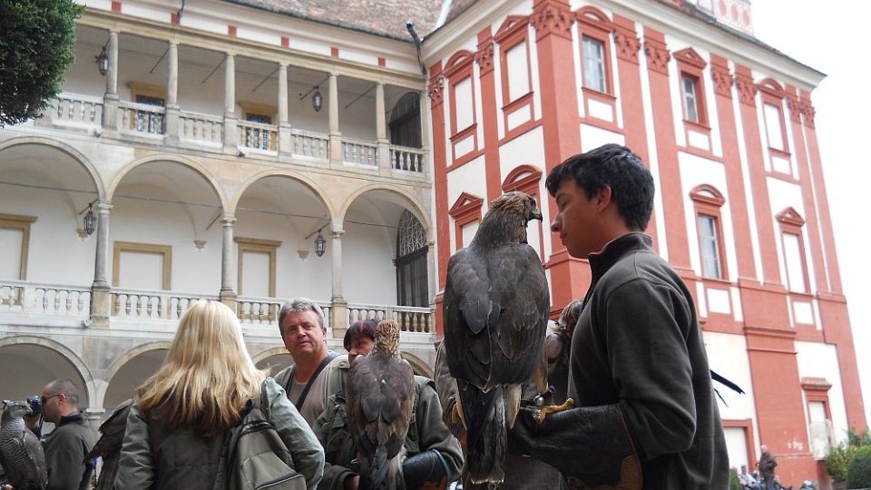 Mezinárodní setkání sokolníků na zámku v Opočně