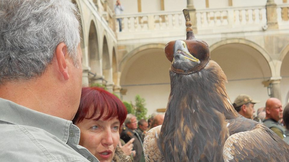 Mezinárodní setkání sokolníků na zámku v Opočně