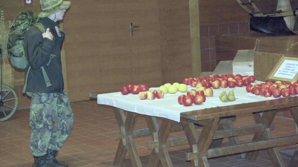 Výstava ukazuje na 80 druhů jablek, hrušek a dalšího pro region typického ovoce