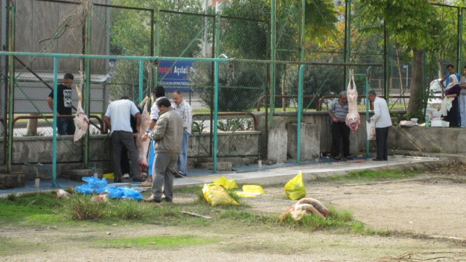Obětuje se na speciálně určených místech, někteří Turci ale i přes zákaz zvířata zabíjejí i v parku