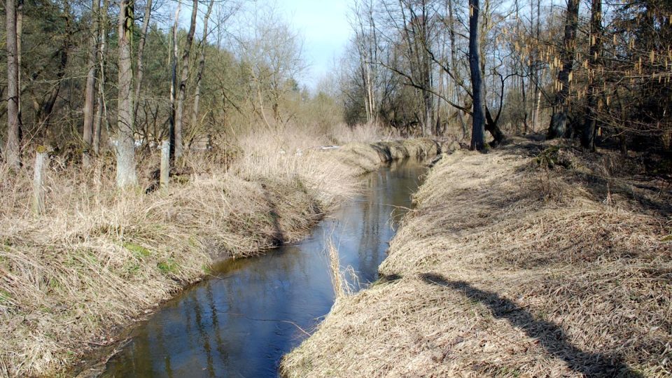 Zlatá stoka přivádí do rybníků čistou vodu