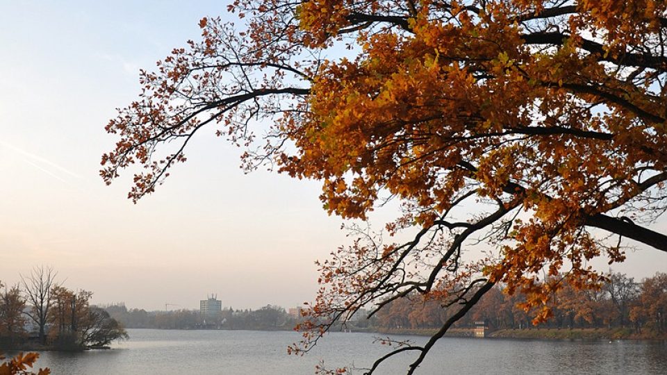 Rybník Svět má své kouzlo i na podzim