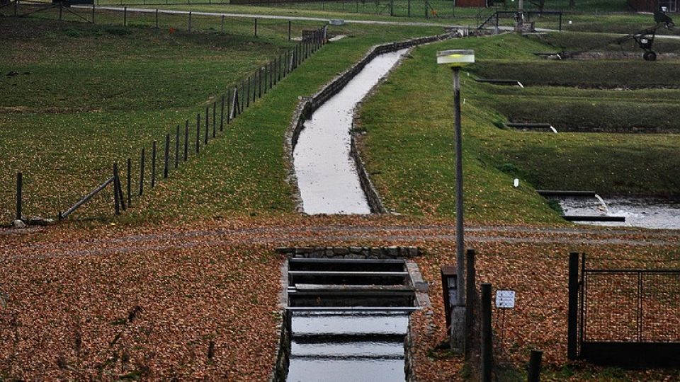 Pod hrází rybníka Rožmberka jsou historické  a dodnec funkční sádky