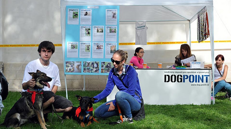 O. s. Dogpoint se pravidelně účastní řady různých akcí, díky kterým tak mohou dát veřejnosti o své činnosti vědět (umisťovací výstava Sen zvířat 10. 9. 2011).