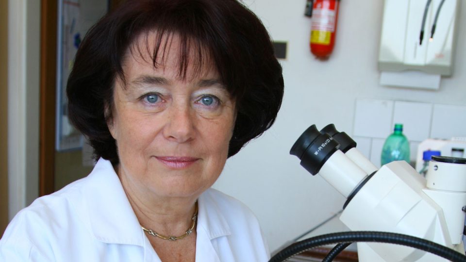 Prof. MUDr. Eva Syková, DrSc.,FCMR