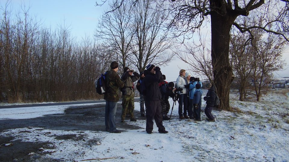 Účastníci sčítání z Moravského ornitolgického spolku z Hulína pozorují velkou skupinu srn