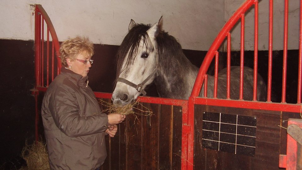 Hřebec Sam s ředitelkou Margit Balaštíkovou 