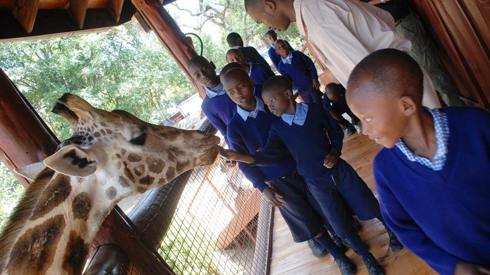 Keňské děti často vidí žirafy poprvé v životě