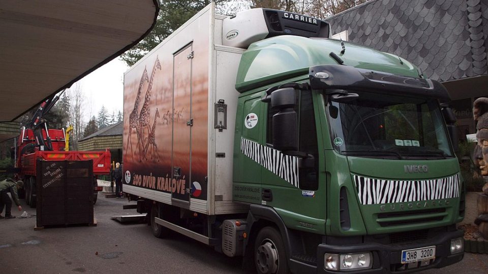 Přeprava zvířat ZOO Dvůr Králové nad Labem