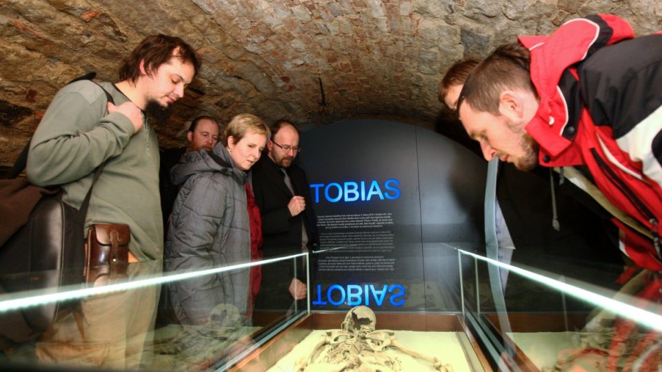 Všechny vědecké výsledky prezentuje expozice v Muzeu Brána Trojzemí v Hrádku nad Nisou, otevřená v lednu 2012. 