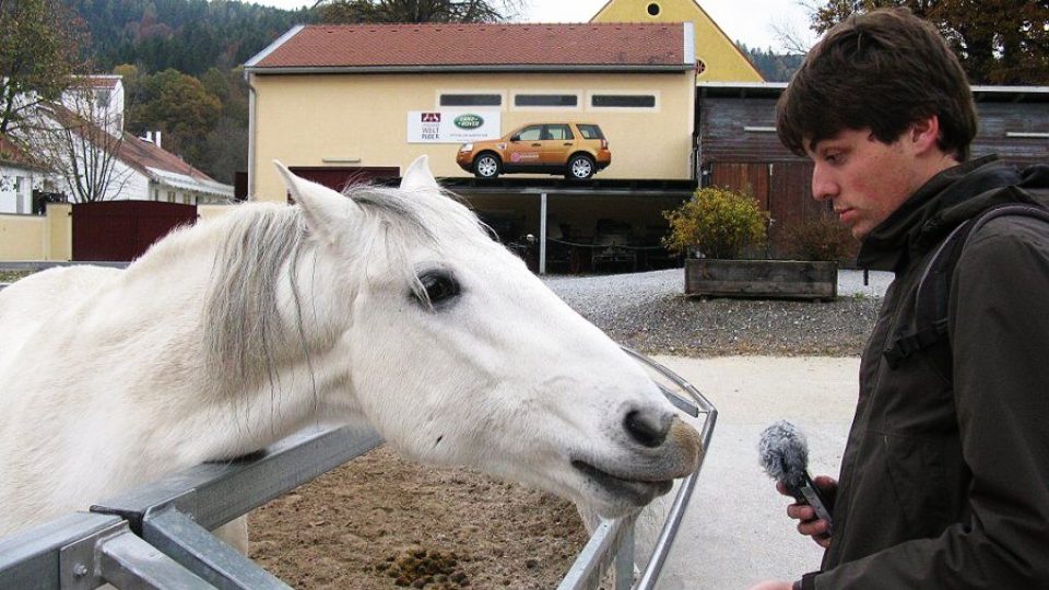 Reportér Vojtěch Berger v piberských stájích