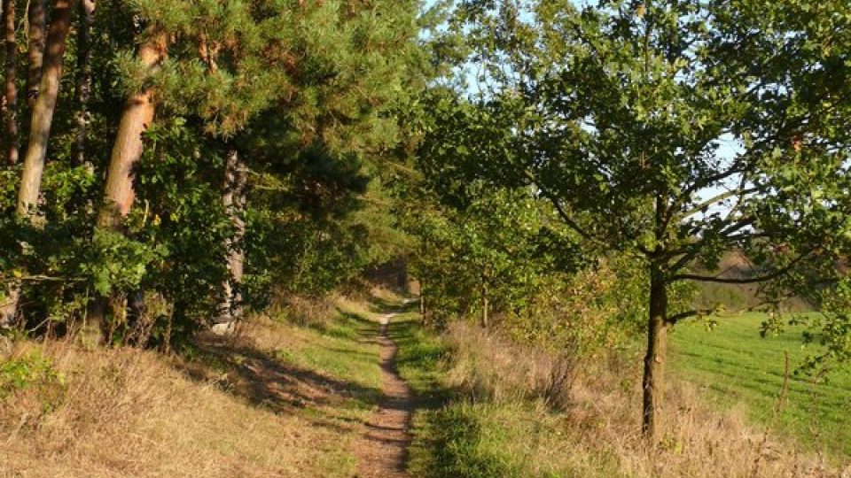 Otavská cyklostezka i turistická trasa vedoucí pod jižním svahem Katovické hory.