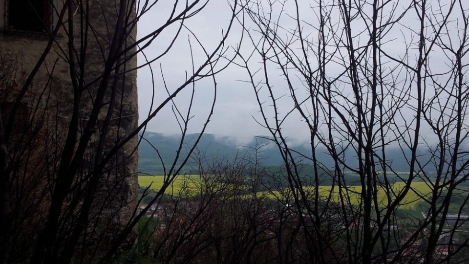 Pohled z hradního kopce. Zuhelnatělý porost u hradeb