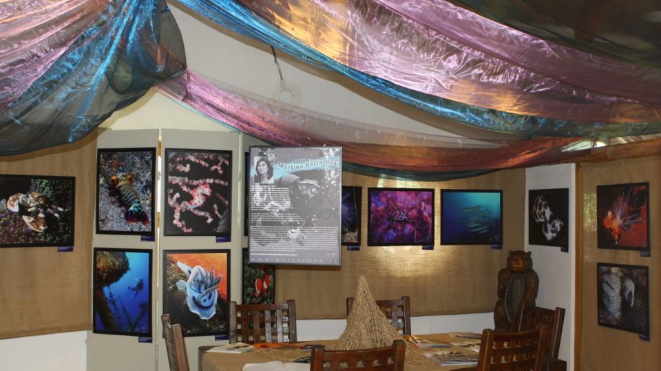 Z výstavy fotografií Martiny Balzarové "Podmořská setkávání"