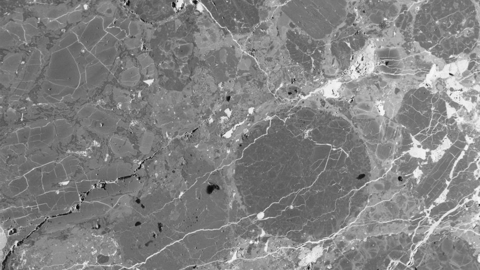 Výbrus enešovského meteoritu 2 (LL3,5 chondrit) s typickými kruhovými obrazci "chondrami" pod elektronovým mikroskopem. (původní barvy)