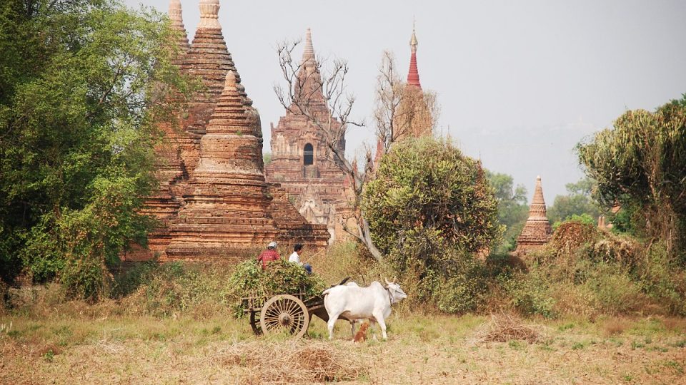 Z původních více než čtyř tisíc pagod a stúp se dochovala přibližně polovina