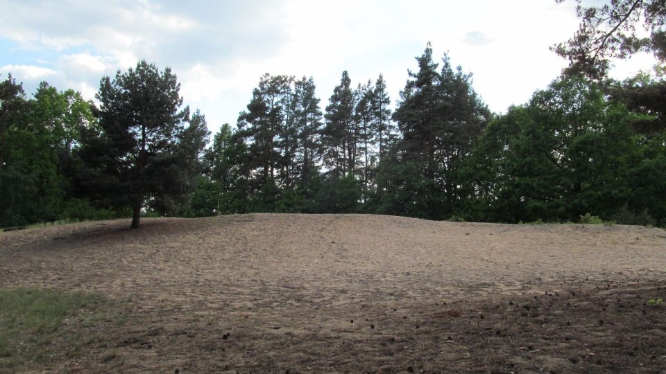 Písečná duna na okraji lesa u obce Lužnice