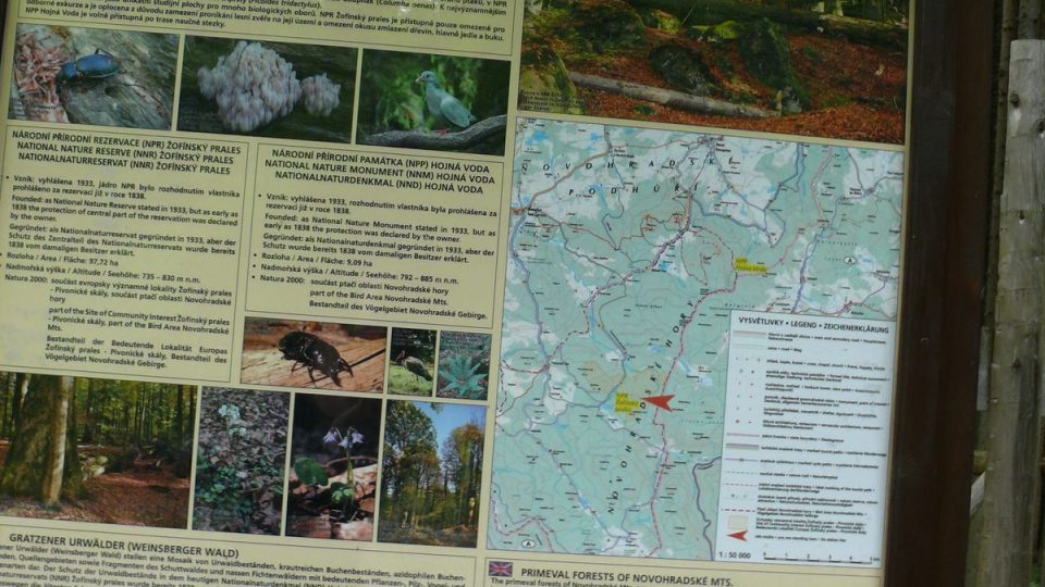 Informační tabule seznamující s Novohradskými pralesy